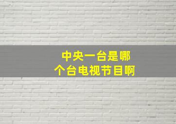 中央一台是哪个台电视节目啊