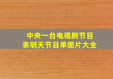 中央一台电视剧节目表明天节目单图片大全