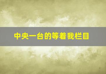 中央一台的等着我栏目