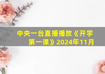 中央一台直播播放《开学第一课》2024年11月