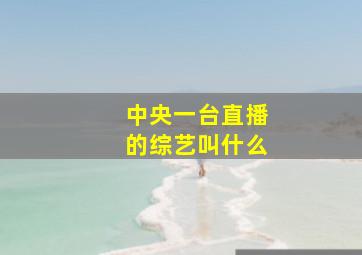 中央一台直播的综艺叫什么