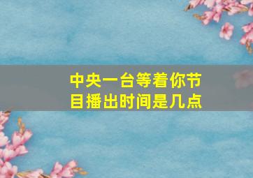 中央一台等着你节目播出时间是几点