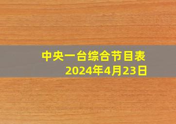 中央一台综合节目表2024年4月23日