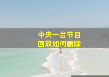 中央一台节目回放如何删除