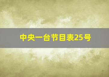 中央一台节目表25号