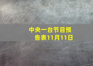 中央一台节目预告表11月11日