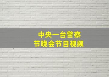 中央一台警察节晚会节目视频