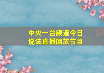 中央一台频道今日说法直播回放节目