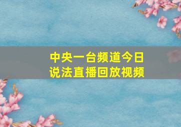 中央一台频道今日说法直播回放视频