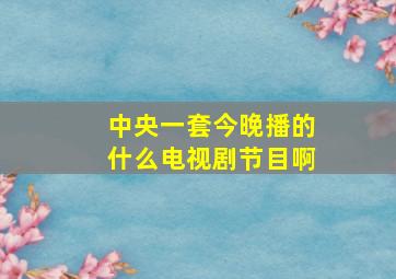 中央一套今晚播的什么电视剧节目啊