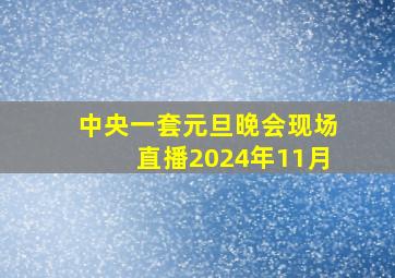 中央一套元旦晚会现场直播2024年11月