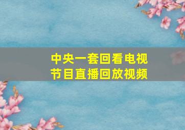 中央一套回看电视节目直播回放视频