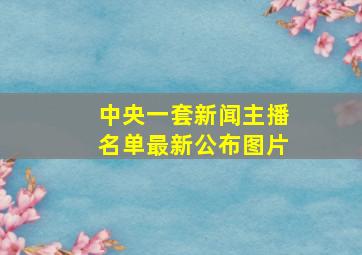 中央一套新闻主播名单最新公布图片