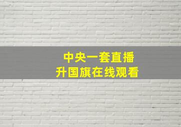 中央一套直播升国旗在线观看