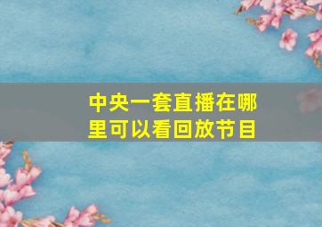 中央一套直播在哪里可以看回放节目