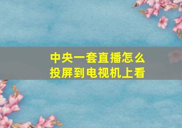 中央一套直播怎么投屏到电视机上看