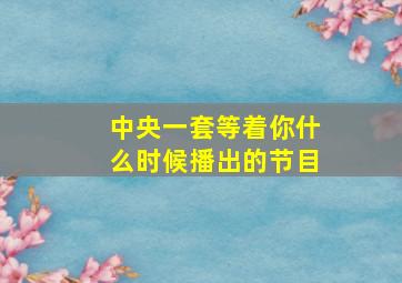 中央一套等着你什么时候播出的节目