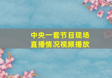 中央一套节目现场直播情况视频播放