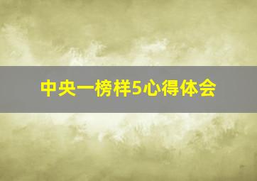 中央一榜样5心得体会