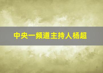 中央一频道主持人杨超