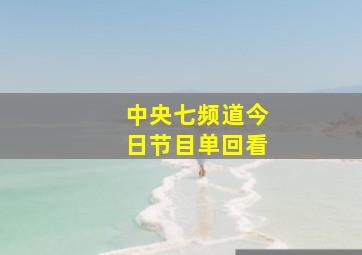 中央七频道今日节目单回看