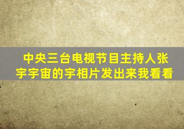 中央三台电视节目主持人张宇宇宙的宇相片发出来我看看