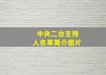 中央二台主持人名单简介图片