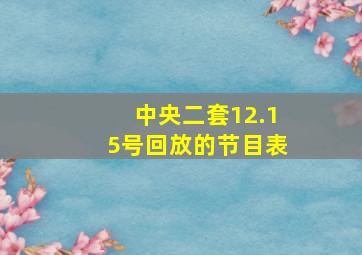 中央二套12.15号回放的节目表