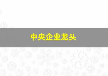 中央企业龙头