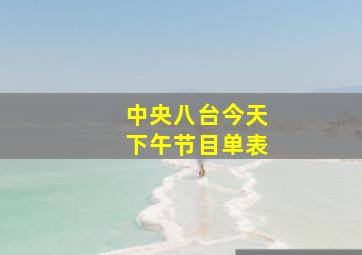 中央八台今天下午节目单表