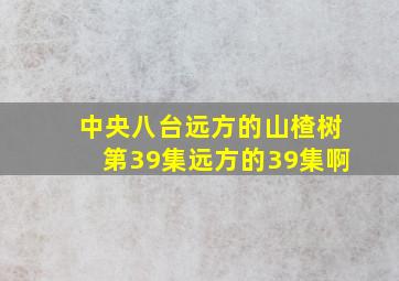 中央八台远方的山楂树第39集远方的39集啊