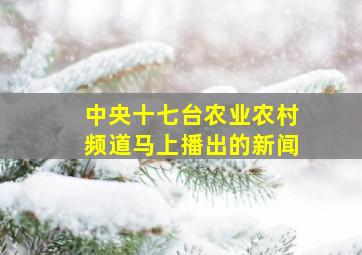 中央十七台农业农村频道马上播出的新闻