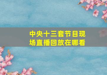 中央十三套节目现场直播回放在哪看