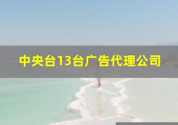 中央台13台广告代理公司