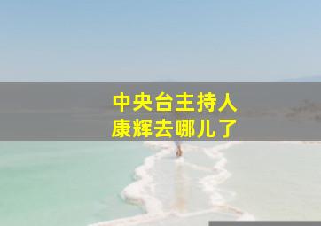 中央台主持人康辉去哪儿了