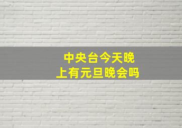 中央台今天晚上有元旦晚会吗