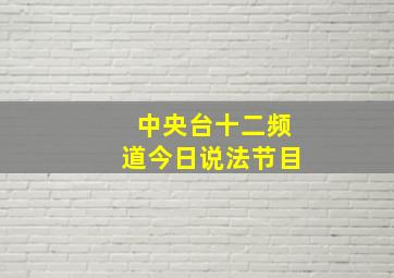 中央台十二频道今日说法节目