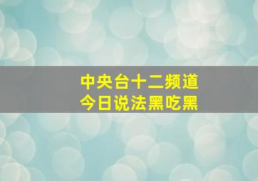 中央台十二频道今日说法黑吃黑