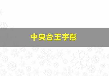 中央台王宇彤