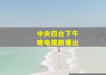 中央四台下午啥电视剧播出