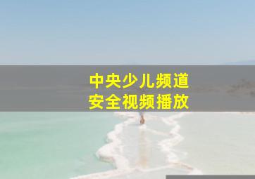 中央少儿频道安全视频播放