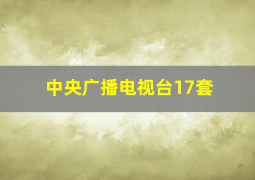 中央广播电视台17套