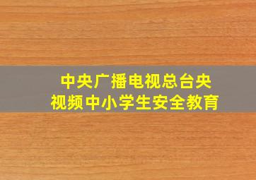 中央广播电视总台央视频中小学生安全教育