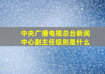 中央广播电视总台新闻中心副主任级别是什么