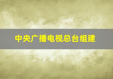 中央广播电视总台组建