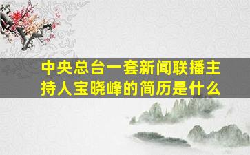 中央总台一套新闻联播主持人宝晓峰的简历是什么