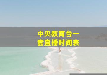 中央教育台一套直播时间表