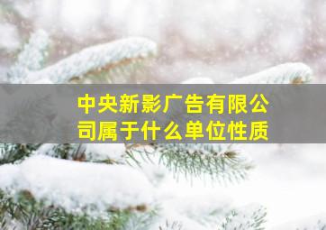 中央新影广告有限公司属于什么单位性质