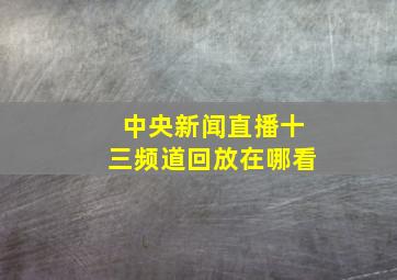 中央新闻直播十三频道回放在哪看