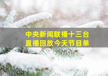 中央新闻联播十三台直播回放今天节目单